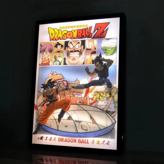 Dragon Ball Z Goku & Vegeta 3D Light Painting